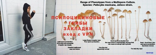 PSILOCYBIN Бугульма